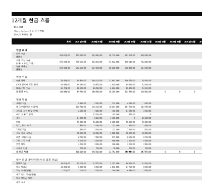 12개월 단위 현금 흐름 보고서